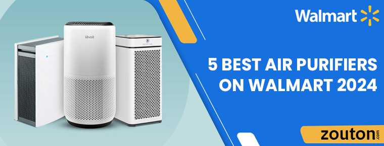 5 Best Air Purifiers On Walmart 2024